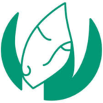 Mindful-health-logo