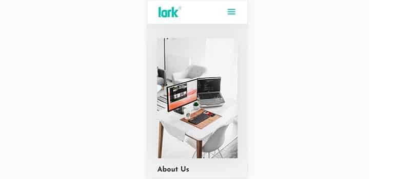 Lark IT - Mobile 3