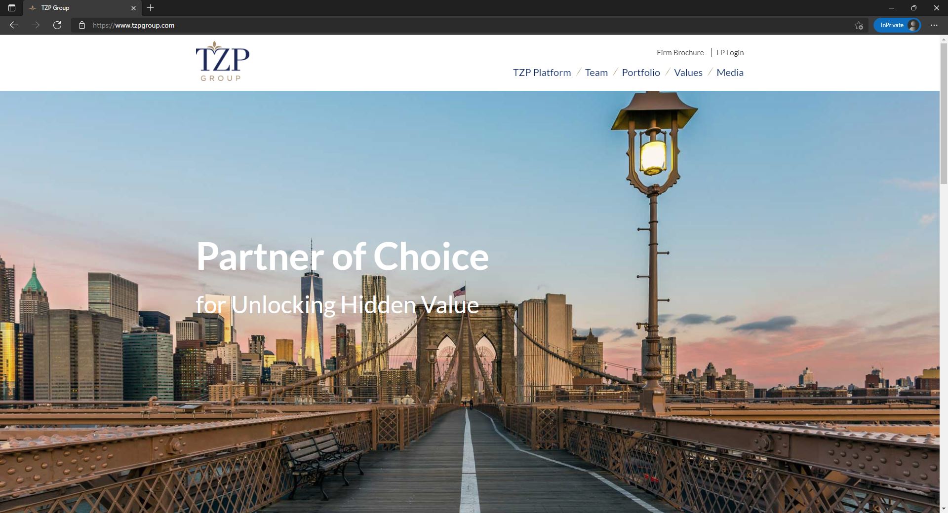 TZP Group website homepage