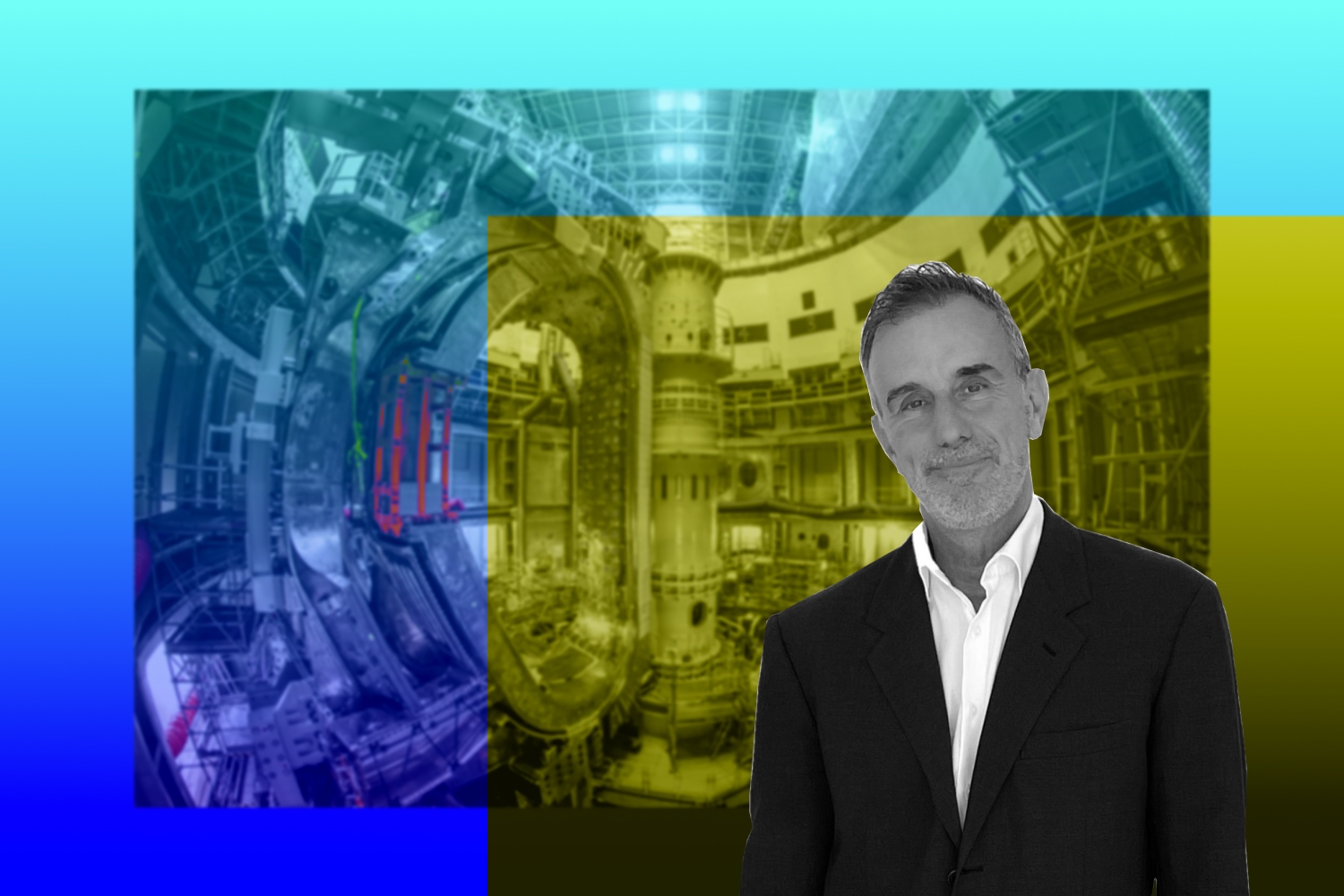 ITER Director